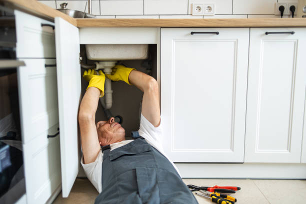 Best Same-Day Plumbing Service  in Underwood Petersville, AL